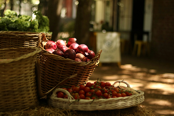 A basket beaming in the sum with vibrant small tomatoes